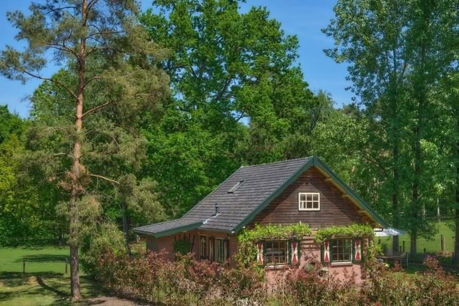 Huisje met tuin tussen de bomen